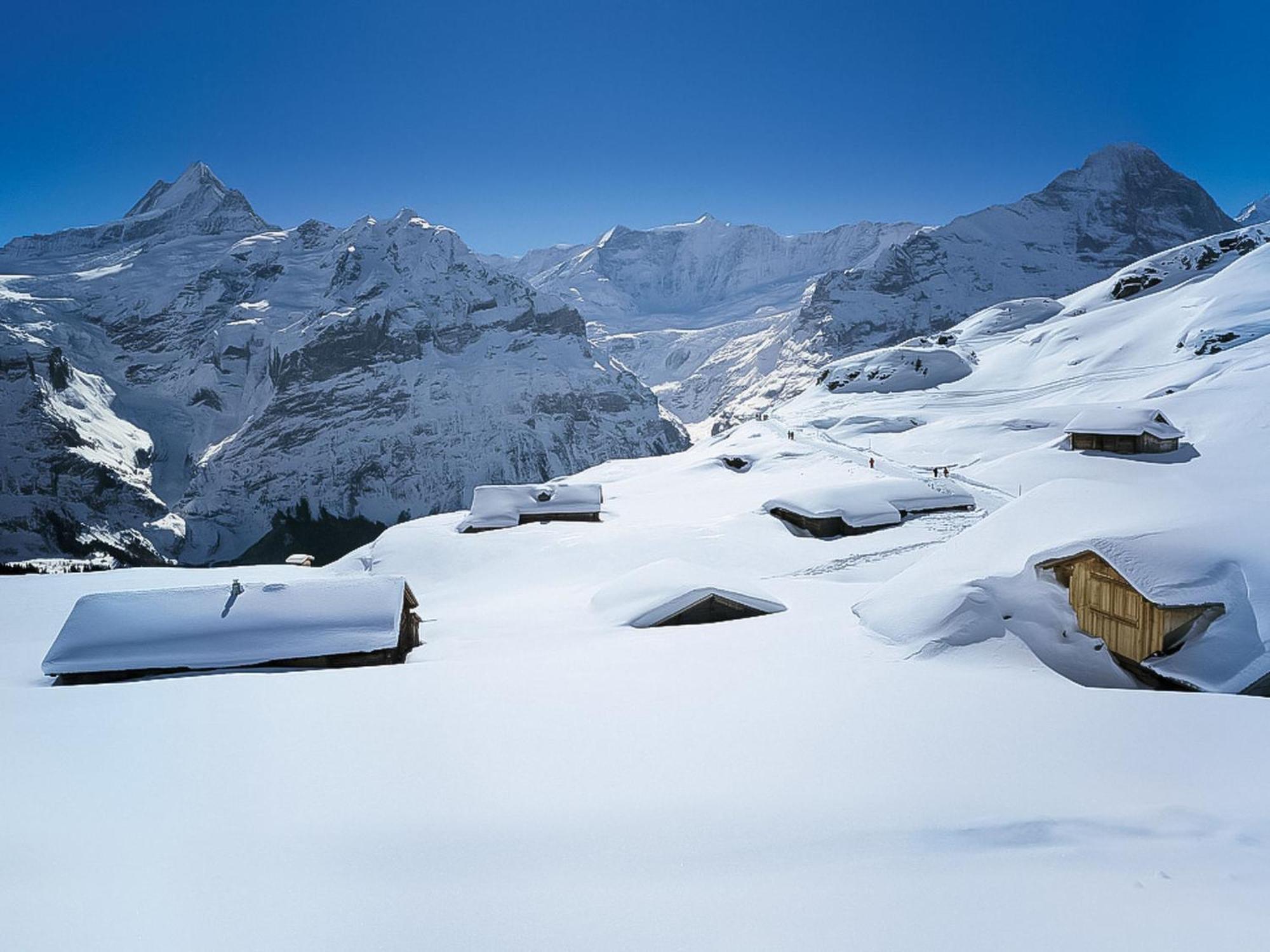 Apartment Chalet Pfingstrose By Interhome Grindelwald Exterior foto