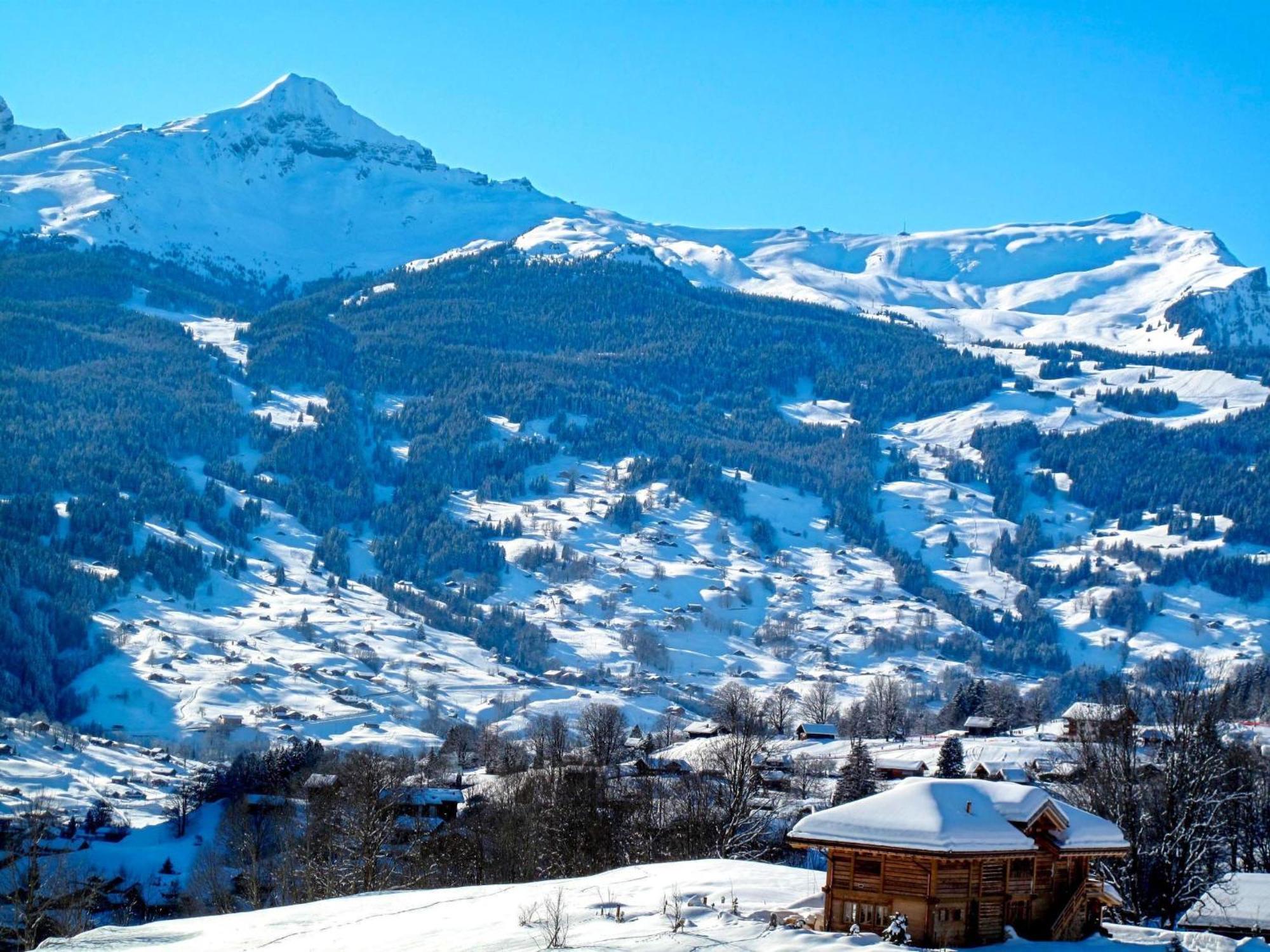 Apartment Chalet Pfingstrose By Interhome Grindelwald Exterior foto